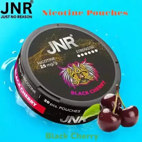 JNR Nicotine Pouches Tabakfreie 25 mg Nikotin-Alternative